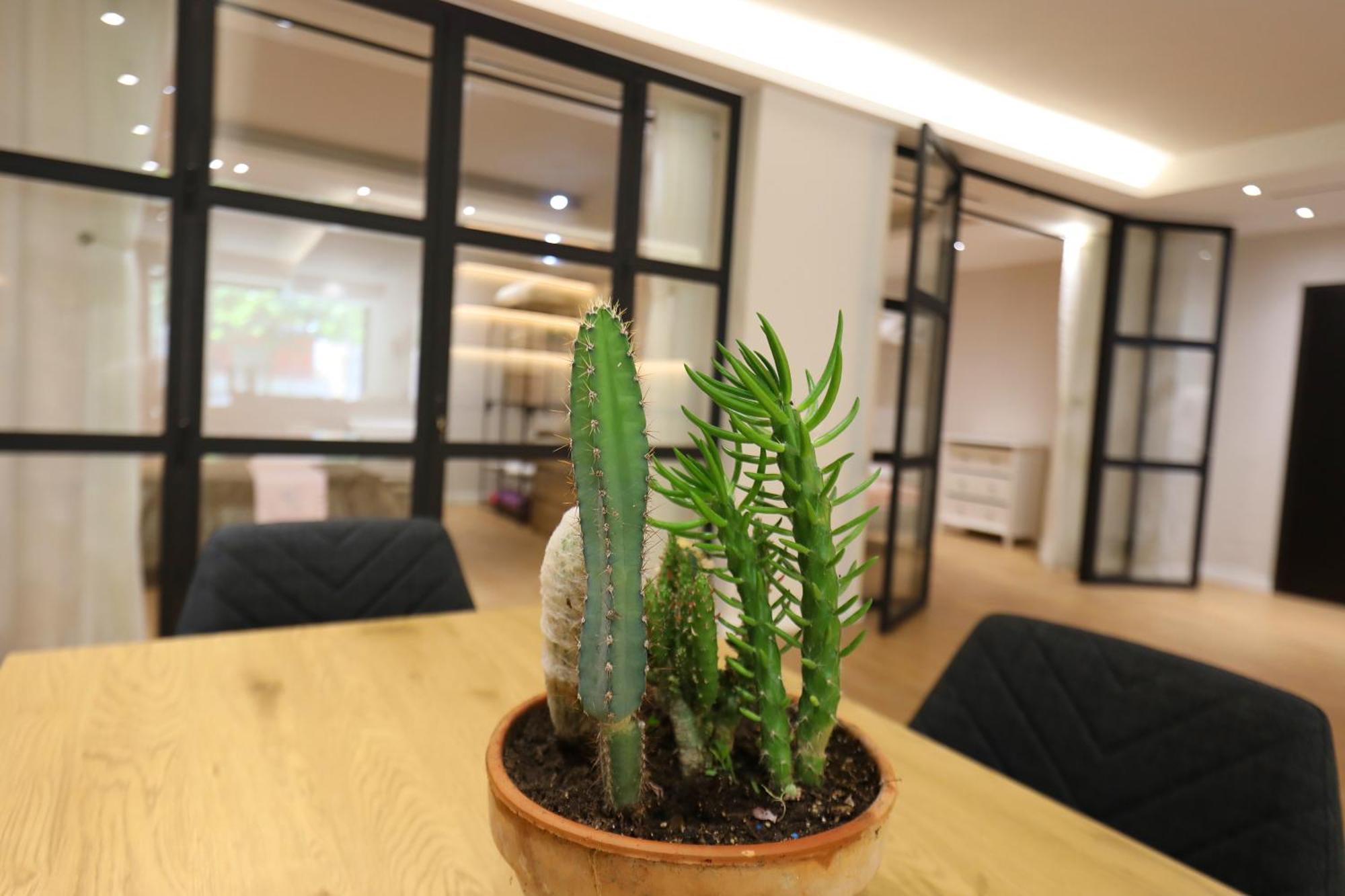 Amantia Apartment Vlore Luaran gambar